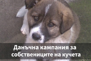 Съобщение към собствениците на кучета
